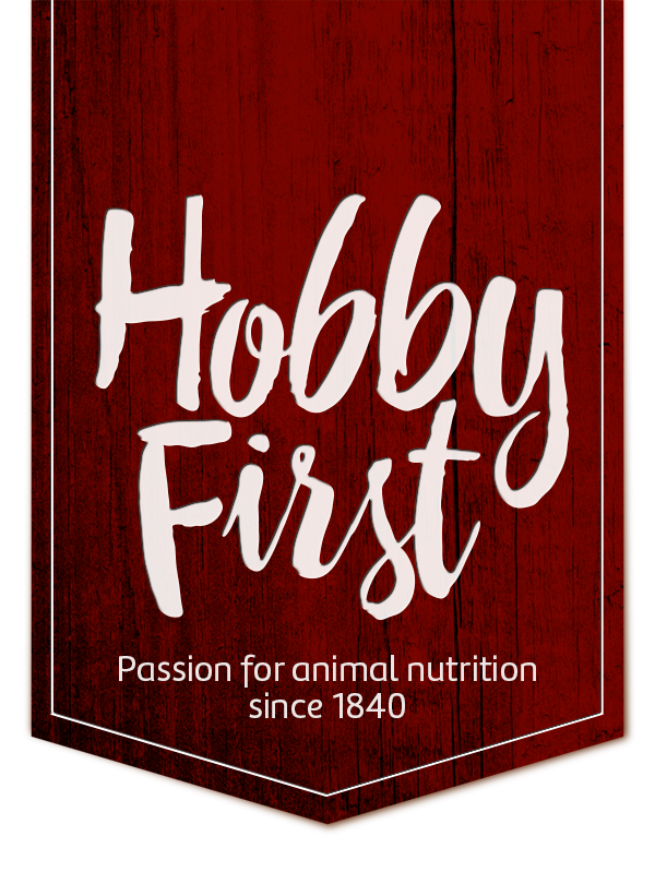Hobby First_logo