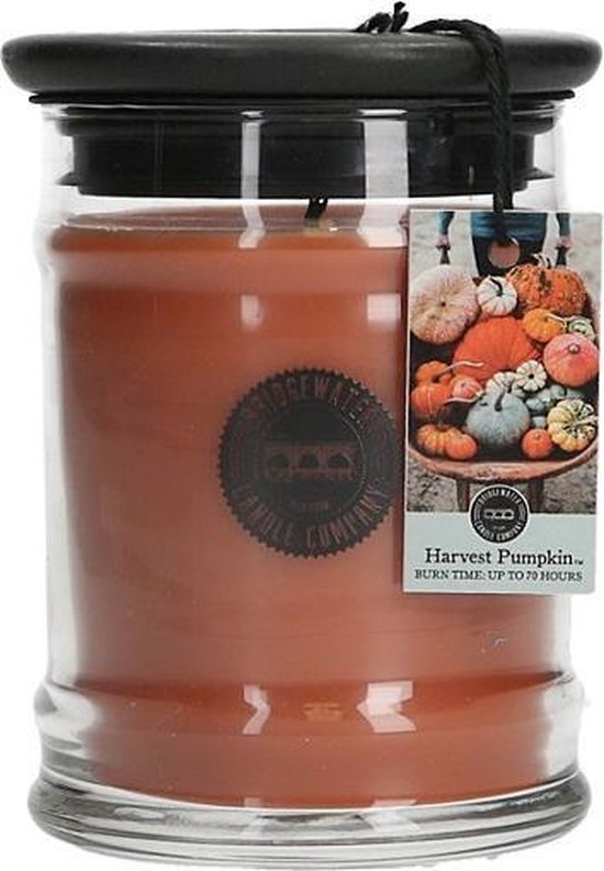 Candle jar s harvest pumpkin h15cm