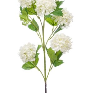 zijden Viburnum 5 bloemen creme 75 cm