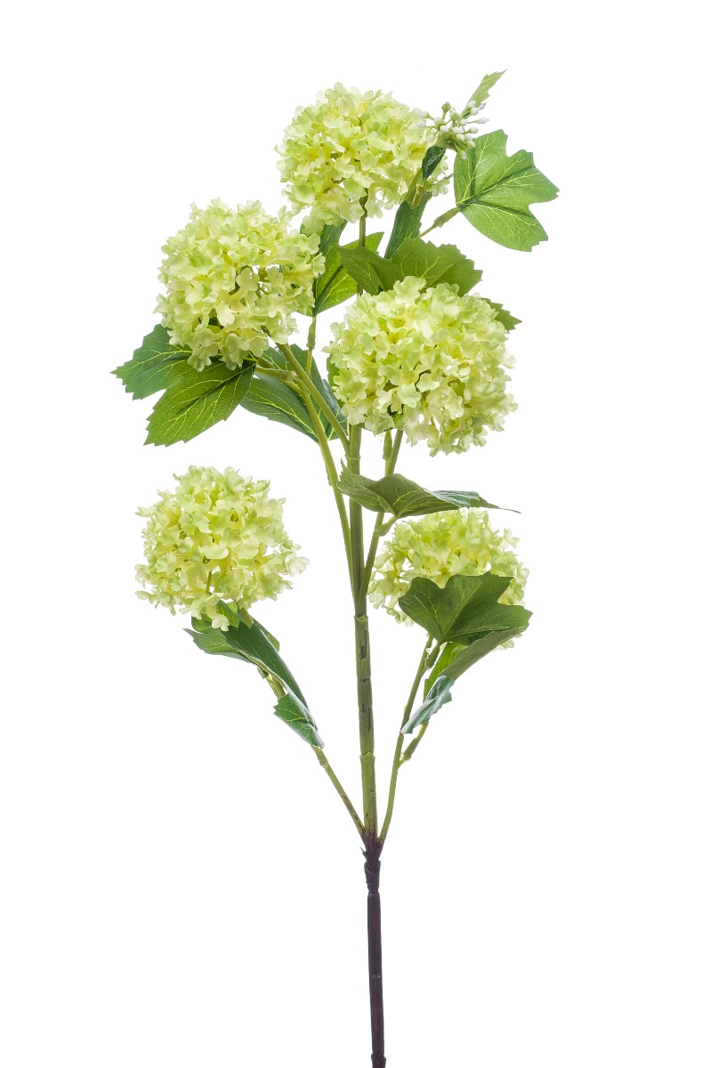 zijden Viburnum 5 bloemen groen 75 cm