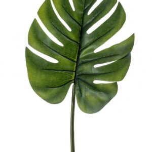 Monstera leaf M 73cm