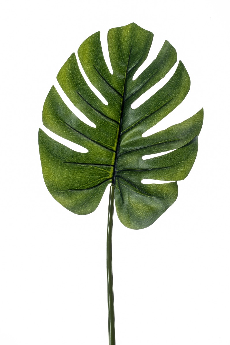 Monstera leaf M 73cm