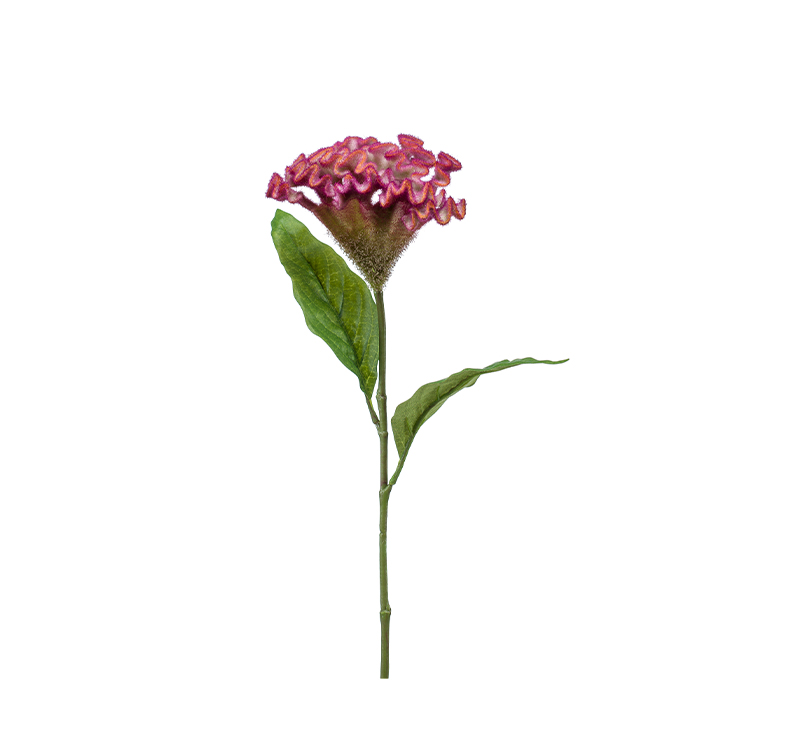 zijden Celosia bloem roze