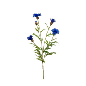 zijden Centaurea blauw