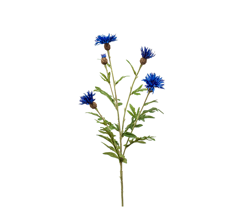 zijden Centaurea blauw