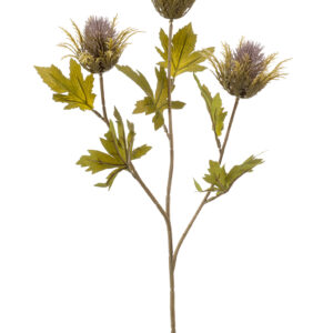 zijden  Eryngium bloem 64 cm