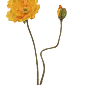 Zijden poppy 2 bloemen geel 74 cm