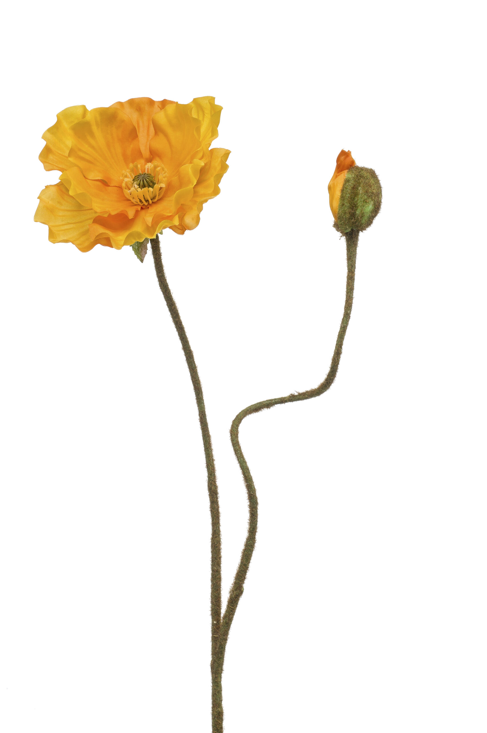 Zijden poppy 2 bloemen geel 74 cm