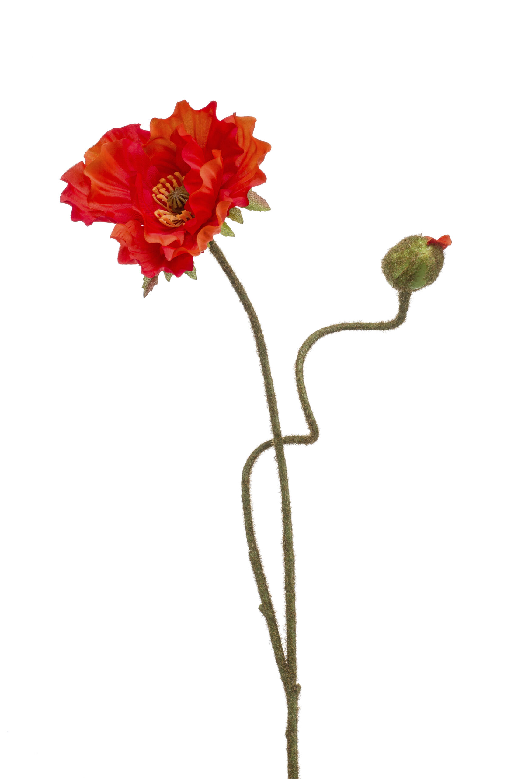 Zijden poppy 2 bloemen rood/oranje 74cm