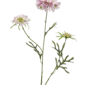 zijden Scabiosa 3 bloemen roze 77 cm