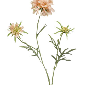 zijden Scabiosa 3 bloemen perzik 77cm