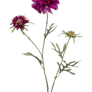 zijden Scabiosa 3 bloemen paars 77 cm