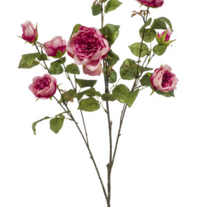 Zijden roos op steel 3 bloemen  110 cm