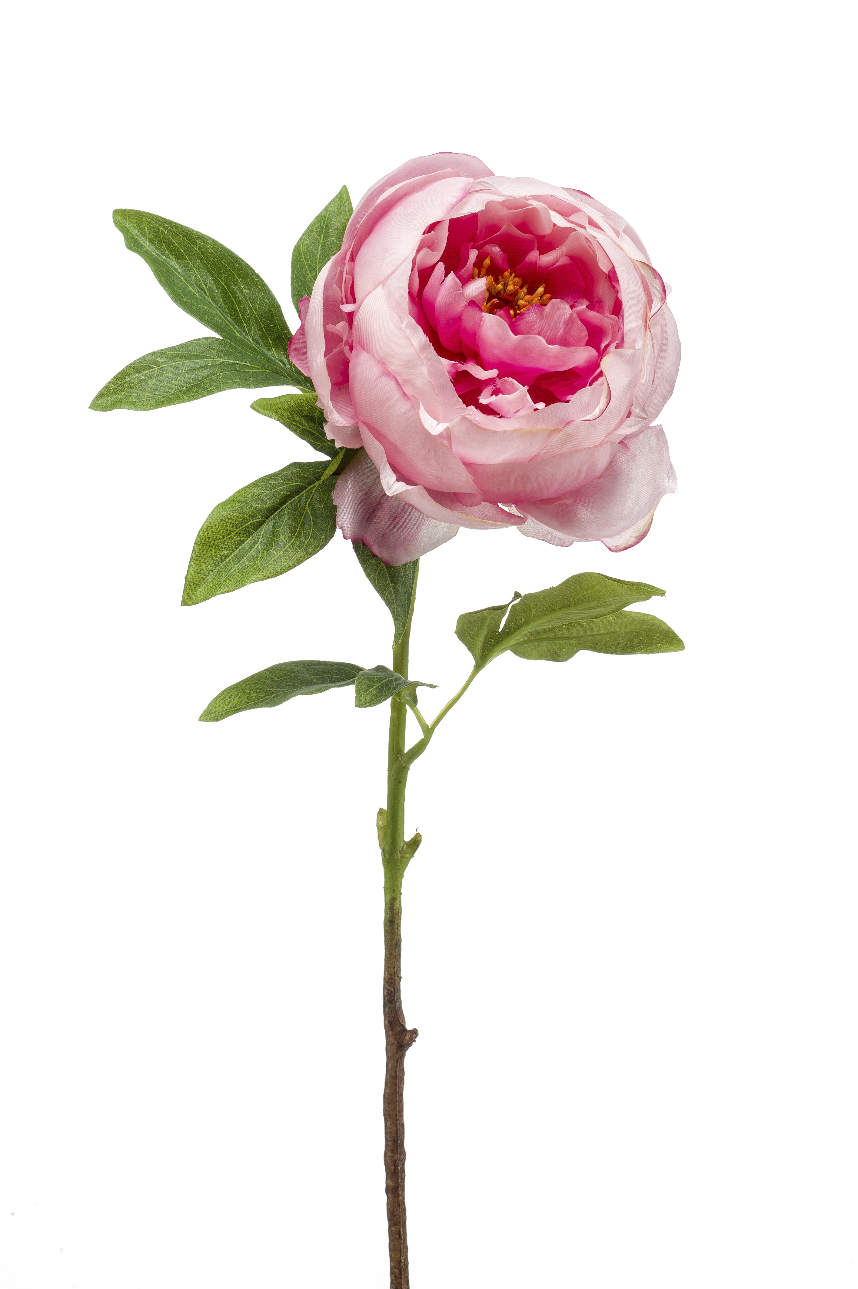 zijden Peony roze 63 cm
