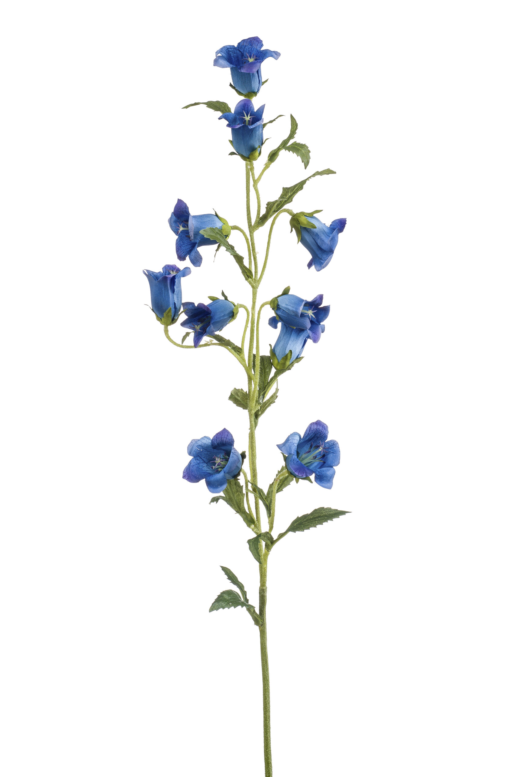 Campanula spray blue 88cm