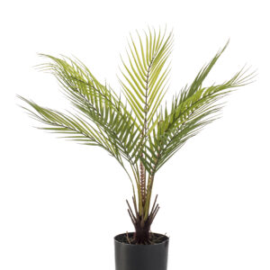 zijden Chamaedorea palm 50 cm