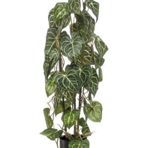 Zijden Anthurium op stam 75cm