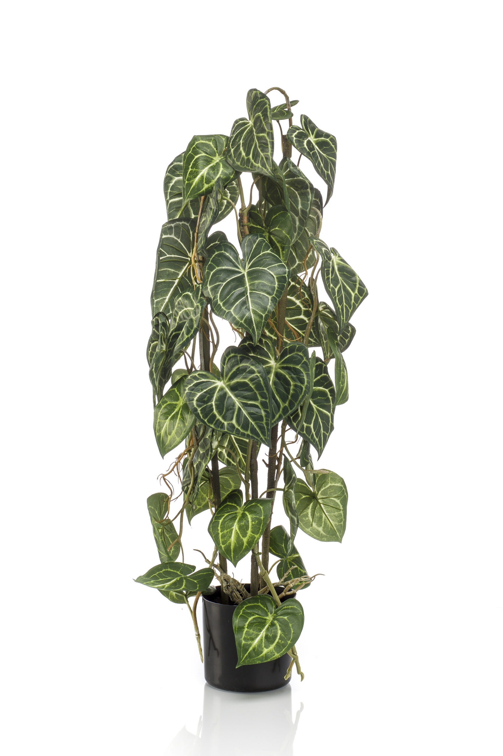 Zijden Anthurium op stam 75cm