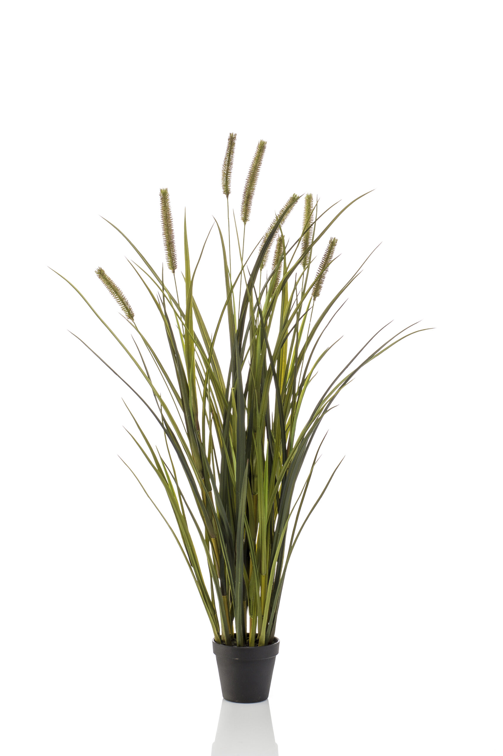 Zijden Grass kattenstaart x8 in pot 100 cm