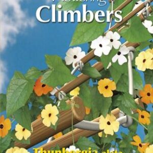 Flowering climbers thunbergia 0.5g