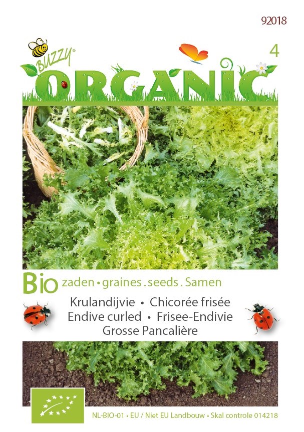 Organic krulandijvie pancaliere 2g