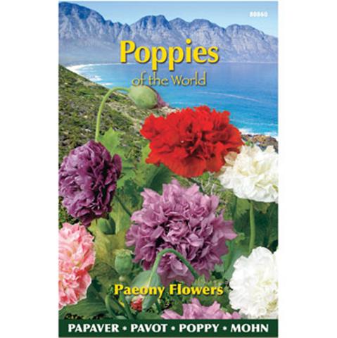 Papaver poppies of the world p 1g