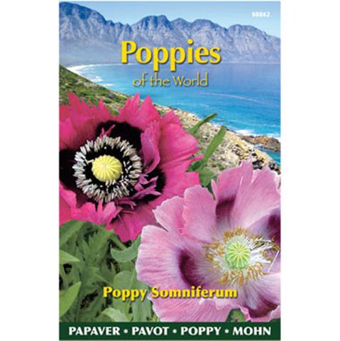 Papaver poppies of the world s 1g