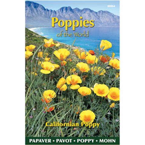 Slaapmuts poppies of the world c 1g