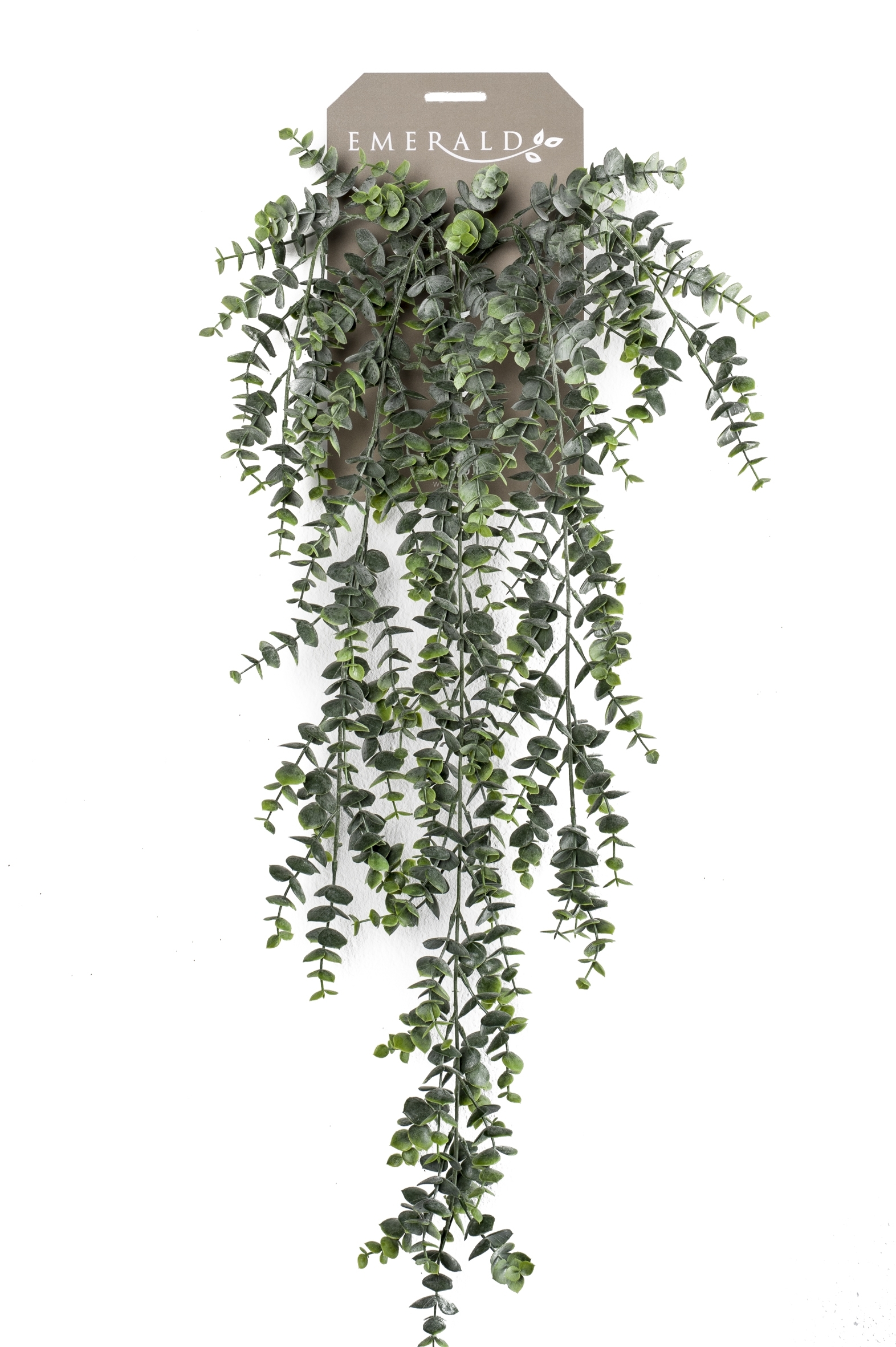 eucalyptus hanging bush x5 75cm