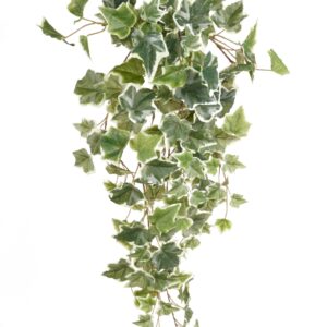 Ivy hanging bush green/white 70cm
