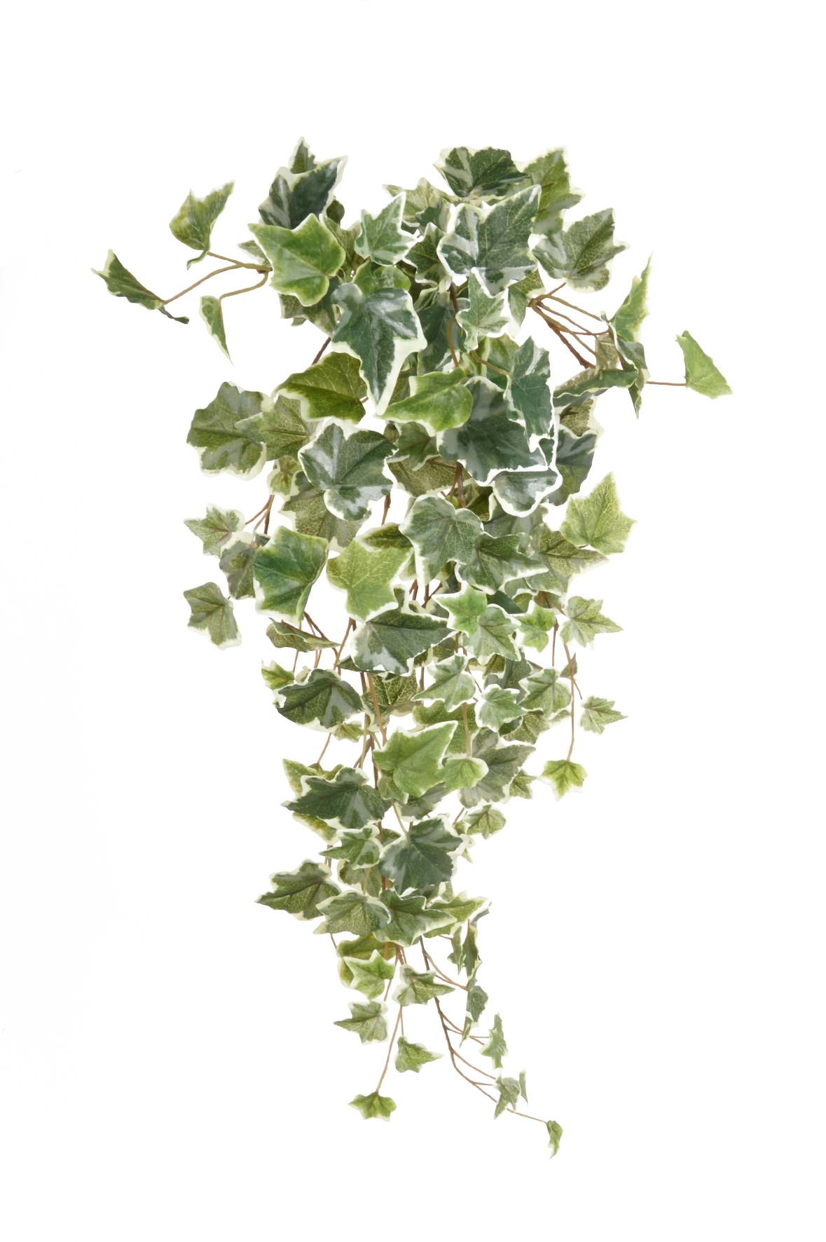 Ivy hanging bush green/white 70cm