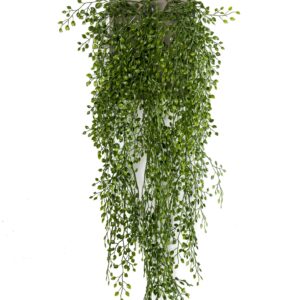 jasmin mini hanging bush x6 80cm