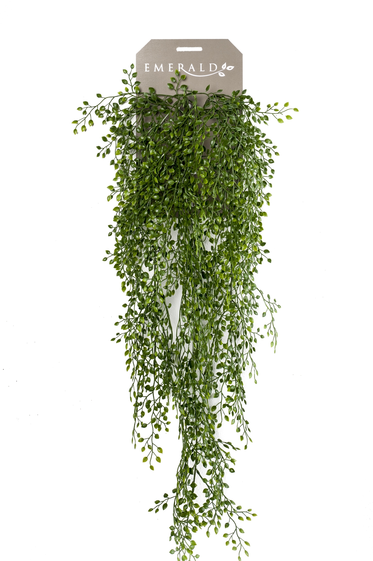 jasmin mini hanging bush x6 80cm