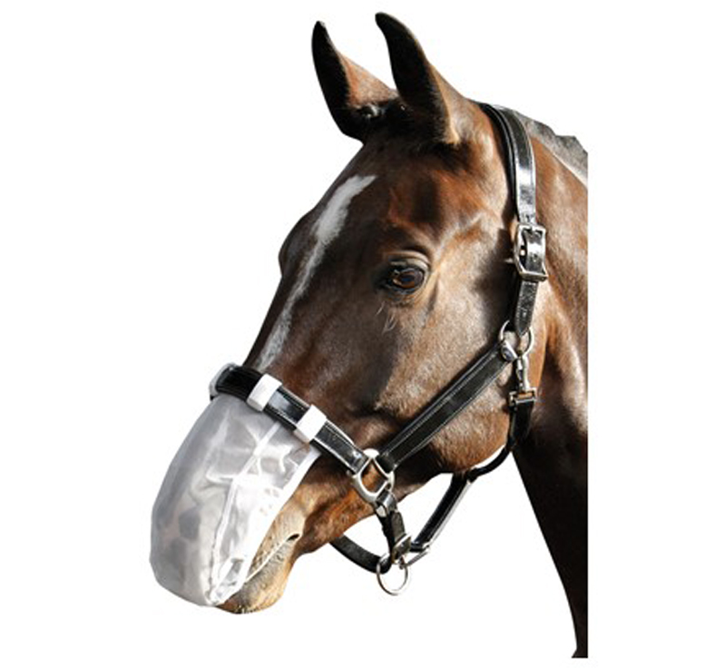 Harry's Horse neusnetje met UV filter
