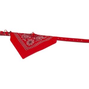 Halsband met zakdoek 30 cm rood